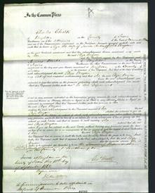Court of Common Pleas - Eliza Bryan-Original Ancestry