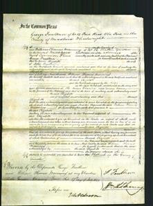Court of Common Pleas - Elizabeth Faulkner-Original Ancestry