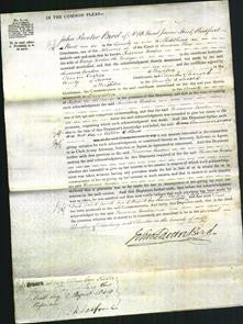 Court of Common Pleas - Susanna Gordon-Original Ancestry