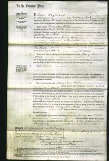 Court of Common Pleas - Mary Ann Hills-Original Ancestry