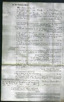 Court of Common Pleas - Nancy Bradley-Original Ancestry