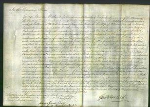 Court of Common Pleas - Mary Ann Badcock-Original Ancestry