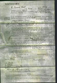 Court of Common Pleas - Martha Rowles-Original Ancestry