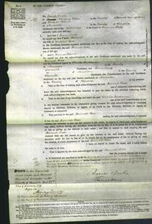 Court of Common Pleas - Hannah Rose-Original Ancestry