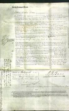 Court of Common Pleas - Ellen Catherine Girdlestone-Original Ancestry