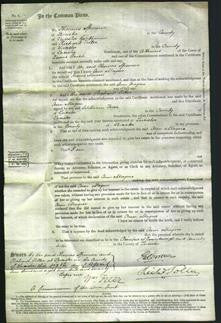 Court of Common Pleas - Ann Mayne-Original Ancestry