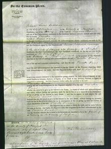 Court of Common Pleas - Priscilla Broad-Original Ancestry