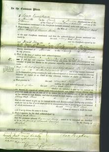 Court of Common Pleas - Mary Williams and Anne Baker