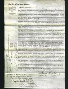 Court of Common Pleas - Ann Baskett-Original Ancestry