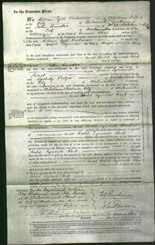 Court of Common Pleas - Isabel Symonds Peart-Original Ancestry