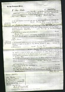 Court of Common Pleas - Mary Jon-Original Ancestry