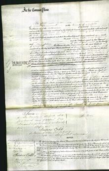 Court of Common Pleas - Mary Easter Bellamy and Susannah Ames-Original Ancestry