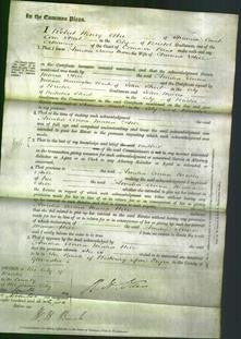 Court of Common Pleas - Amelia Ann Maria Hill