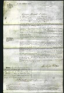 Court of Common Pleas - Beata Prior Stead-Original Ancestry