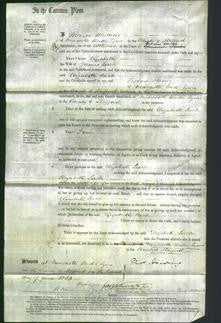 Court of Common Pleas - Elizabeth Leech-Original Ancestry