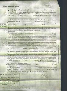 Court of Common Pleas - Barbara Sutherland-Original Ancestry