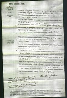Court of Common Pleas - Martha Holland-Original Ancestry