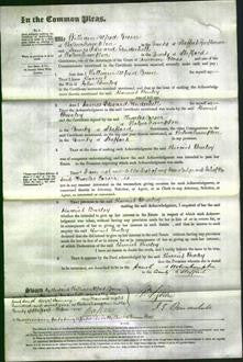 Court of Common Pleas - Harriet Burby-Original Ancestry
