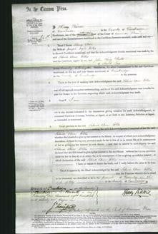 Court of Common Pleas - Selina Ann Ellis-Original Ancestry