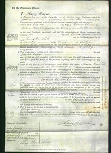 Court of Common Pleas - Charlotte Coward-Original Ancestry