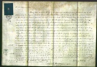 Court of Common Pleas - Mary Snowdon-Original Ancestry