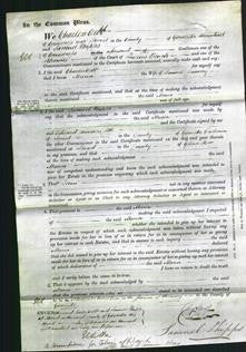 Court of Common Pleas - Maria Dauncly-Original Ancestry