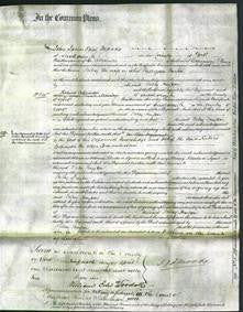 Court of Common Pleas - Betsy Willerton Hayton-Original Ancestry