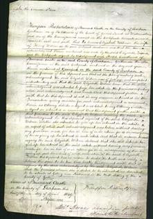 Court of Common Pleas - Elizabeth Witmer-Original Ancestry