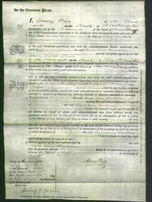 Court of Common Pleas - Louisa Anne Hankinson-Original Ancestry