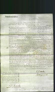 Court of Common Pleas - Mary Tucker and Mary Tucker-Original Ancestry