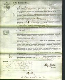 Court of Common Pleas - Eliza Serjeant