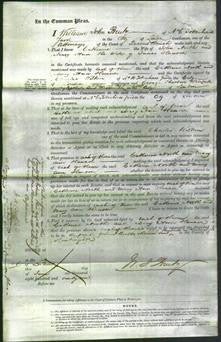 Court of Common Pleas - Catherine North and Mary Ann Hanson-Original Ancestry