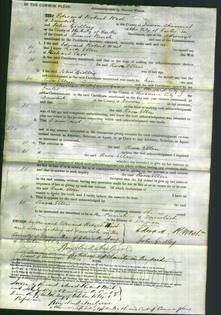 Court of Common Pleas - Rosa Ellen Carr-Original Ancestry