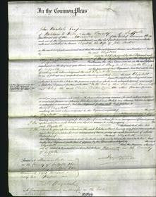 Court of Common Pleas - Elizabeth Larter-Original Ancestry