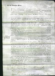 Court of Common Pleas - Mary Batham-Original Ancestry