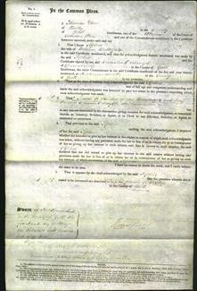 Court of Common Pleas - Sophia Butterfield-Original Ancestry