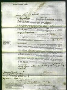 Court of Common Pleas - Sarah Marfell-Original Ancestry