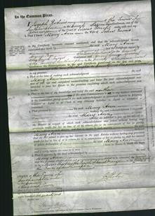 Court of Common Pleas - Mary Ann Evans-Original Ancestry