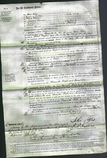 Court of Common Pleas - Harriette Jones, Phoebe Hughes and Annabella Bythell-Original Ancestry