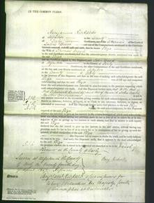 Court of Common Pleas - Eliza Argyle-Original Ancestry