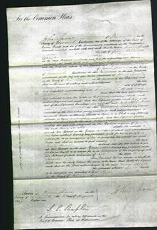 Court of Common Pleas - Mary Auster Elkington-Original Ancestry