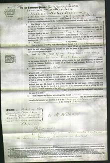 Court of Common Pleas - Anne Jones-Original Ancestry