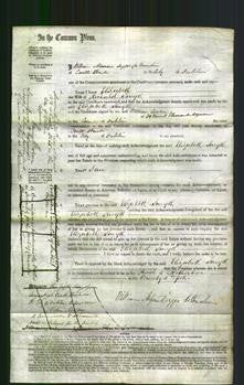 Court of Common Pleas - Elizabeth Smyth-Original Ancestry