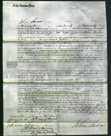 Court of Common Pleas - Sarah Goffe Burton-Original Ancestry