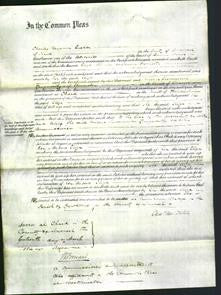 Court of Common Pleas - Eliza Frampton-Original Ancestry