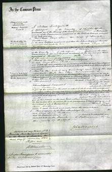 Court of Common Pleas - Eliza Jane Southam-Original Ancestry