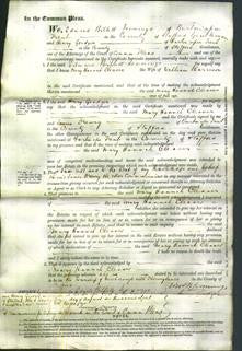 Court of Common Pleas - Mary Hannah Cleaver Harrison-Original Ancestry