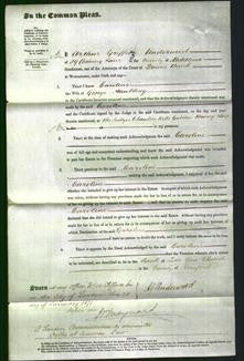 Court of Common Pleas - Caroline Hambling-Original Ancestry