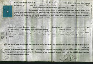 Deed by Married Women - Ann Webb-Original Ancestry