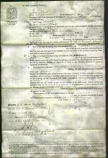 Court of Common Pleas - Harriet Pratt-Original Ancestry